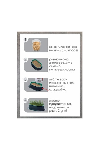 Teltree Kedi Köpek Çim Bitirme Seti - Su Yetiştirme Tepsisi, 5 Tohum Paketi, Gri Ve Parlak Yeşil Abs Plastik