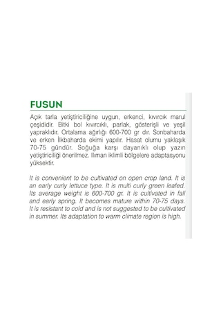 AGRodal Tarım Ata Tohumu Yerli Doğal Marul Fusun 1000 Adet Toh