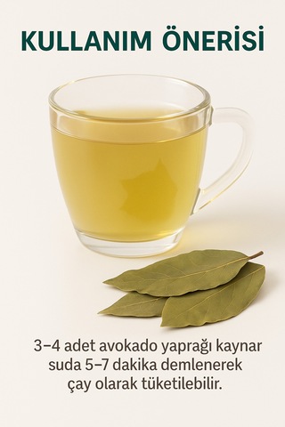 Avokado Yaprağı 40 Gr Doğal Kurutulmuş Bitki Çayı