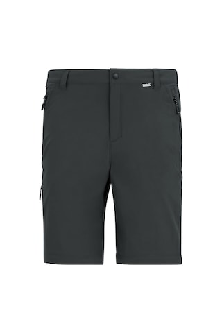 Regatta A-insttvlltz/otrs Erkek Pantolon-gri