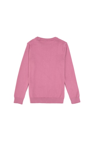 U.S. Polo Assn. Kız Çocuk Pembe Bisiklet Yaka Basic Kazak 50316808-VR167
