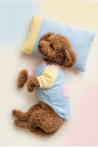 Bubbles Pastel Köpek Uyku Takımı Mini Yastıklı Şeker Renkli Yazlık Köpek Pijama Seti Küçük Irklar İçin
