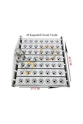 49'luk Otomatik Kuluçka Gelişim Viyolü 1/2.5 Rpm 4 Watt