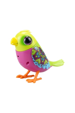 Digibirds Tekli Paket Seri 1 - Model 3