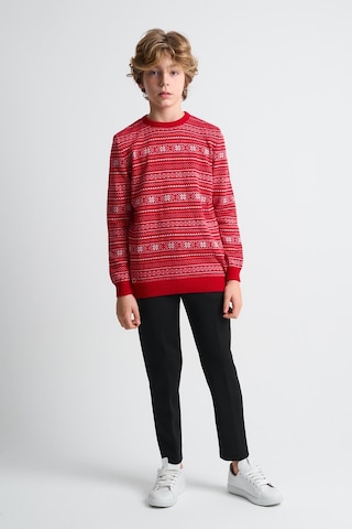 Alexandergardı Bisiklet Yaka Çocuk Triko Kazak C23-7103 Kırmızı