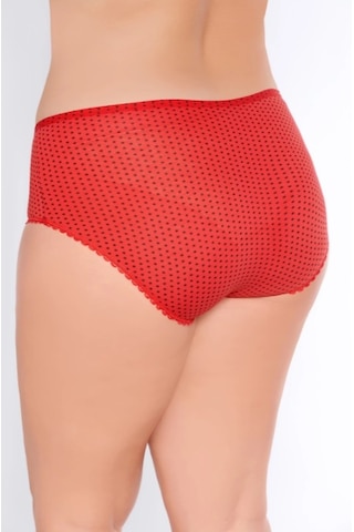 Tutku Kadın Puantiyeli Bato Külot 6'lı Paket Tkd0933 Beyaz