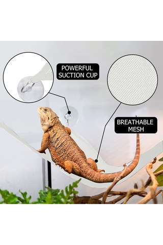 Jeehugo Küçük Sürüngenler İçin Üçgen Ağ Desenli Açık Havalandırmalı Yatak, 3 Emme Çubuğuyla Kolay Kurulum, Dayanıklı Beyaz Kumaş, 2 Adet