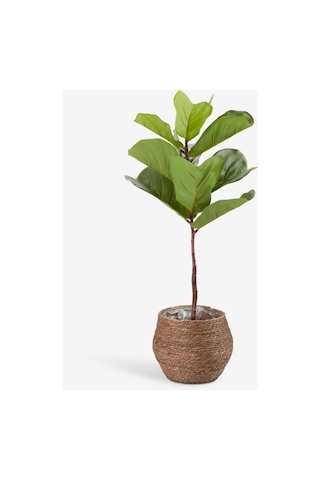 Saksı Sıvopert Ø26xy23cm Kahverengi