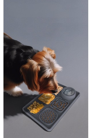 Raikou Köpek Maması Hasırı