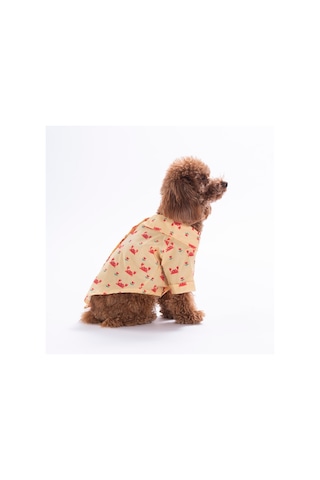 Coral Charm Kedi Köpek Gömleği - Kedi Köpek Kıyafeti-kedi Gömlek-köpek Gömlek