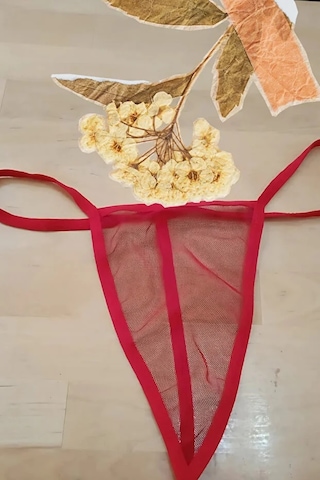 Anastasia String Tanga Tül Külot - Kırmızı Ans112 Kırmızı