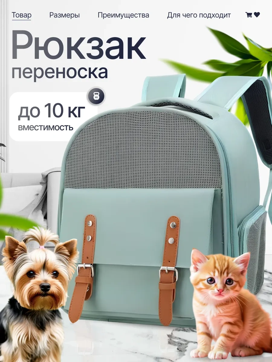 Rokiland Kedi Ve Köpekler İçin Sırt Çantası Taşıyıcı 453304588