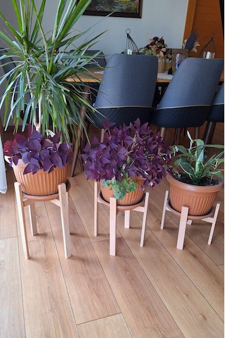 Saksılık 3 Adet,büyük Boy Saksılar İçin Kayın Ağacından