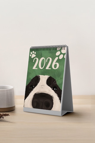 Köpek Tasarım 2026 Masa Takvimi Pytktkv026