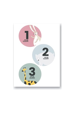 Le Color Lecolor Bebek Sticker Seti Abanoz