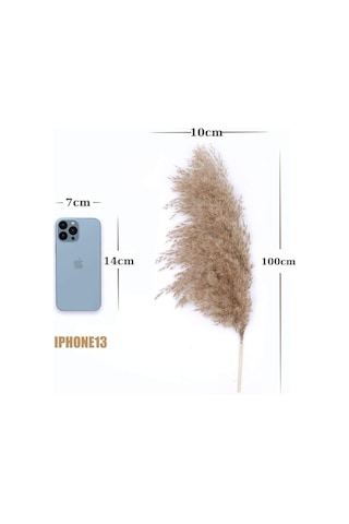 Alyones 10 Adet Kabarık Pampas Otu 100cm Doğal Kuru Pampas Dekor Boho Oda Çiçekleri Dekorasyonu