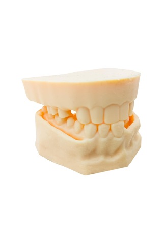 Barışhan Medikal Silikon Çene Diş Dikiş Modeli Ortodontik Alt Üst Çene Periodontal Sütür Eğitim Modeli-2