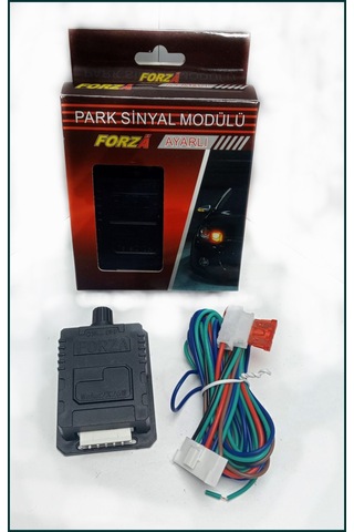 AMERİKAN PARK MODÜLÜ - AYARLI 12V (2 ÇIKIŞLI)