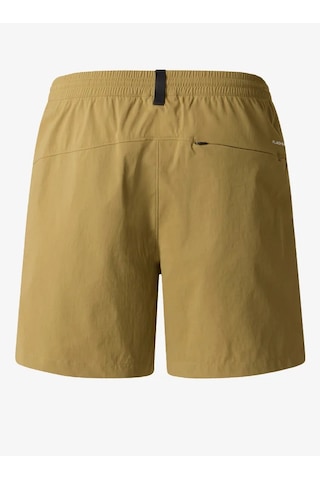 The North Face Nf0a8b5t-2el Class V Pathfinder Pull On Erkek Şort Kahverengi