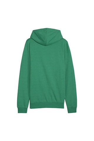 Puma Teamgoal Casuals Hoody Erkek Futbol Antrenman Sweatshirts 65861805 Yeşil Yeşil