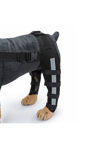 Homyl Köpekler Arka Bacaklar Dizlik Siyah-mavi-küçük