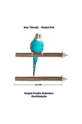 Doğal Ahşap Kuş Tüneği 20 Cm - Gerçek Fındık Dalı Doğal Ahşap Kuş Tüneği 20 Cm - Gerçek Fındık Dalı