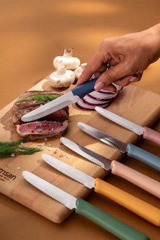 Emsan Rustik 6'lı Steak Bıçak Seti Renkli