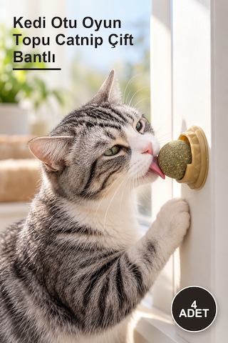 4 Adet Kedi Otu Oyun Topu Catnip Çift Bantlı