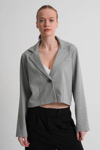 Alexander Gardi Alexandergardı Astarsız Crop Blazer Ceket Açık Gri