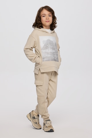 Panço Erkek Çocuk Kapüşonlu Taş Sweatshirt Gri
