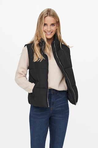 Jdy Kadın Jdynewerıca Dik Yaka Çift Cepli Şişme Yelek 15234210 Siyah Siyah
