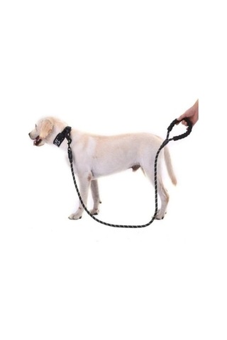 Dodes Reflektörlü Köpek Tasması 130 Cm.