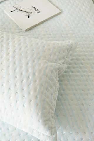 Ocean Home Textile Pamuklu Kapitoneli Açık Mavi Renk Çizgi Desen Çift Kişilik Yatak Örtüsü Seti 1 Adet 250 X 230 / 2 Adet 50 X 70 Cm