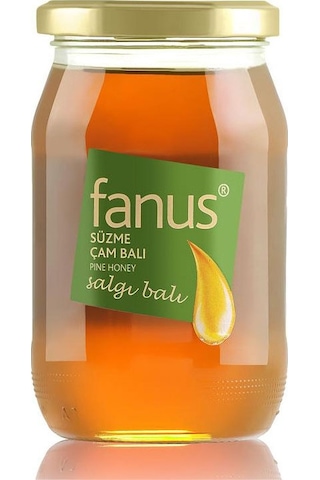 Fanus Çam Balı 460 G