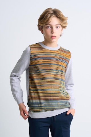 Alexandergardı Desenli Çocuk Triko Kazak C21-18672 Gri