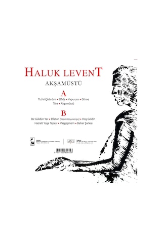 Haluk Levent - Akşamüstü Plak