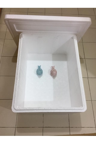 20 Kg Eps Strafor Köpük Termos Gıda Taşıma Kutusu