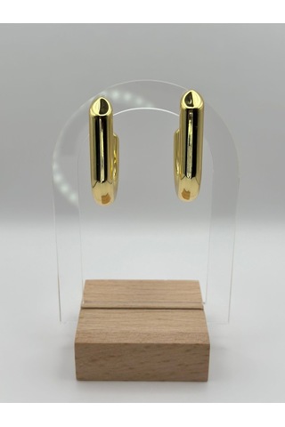 Arnes Jewelry Çelik Gold Küpe Ar337nes Gold
