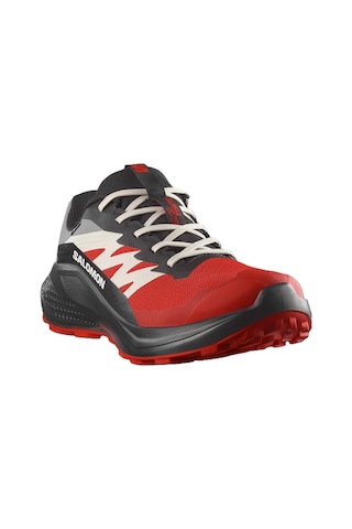 Salomon Alphaglıde Gore-tex Erkek Ayakkabısı L47975200 Çok Renkli