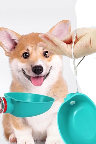 Yeni Nesil Pratik Kedi Köpek Evcil Hayvan Şişeye Takılabilen Su Aparatı Suluk Başlığı