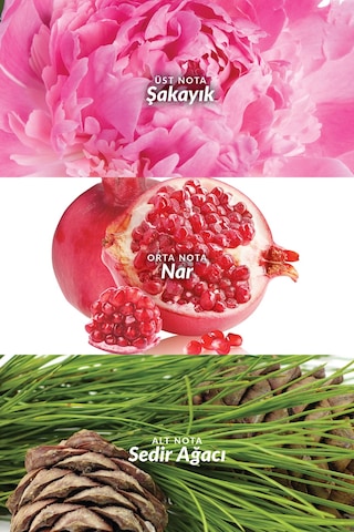 Eve Truth Kadın Parfüm Ve Vücut Losyounu Paketi Çiçek