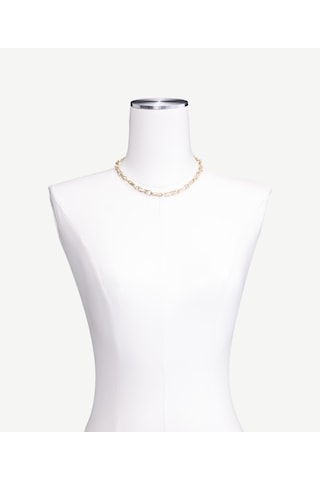 Yargıcı Gold Zincir Kolye 25kkbj8044x 630 Renkli