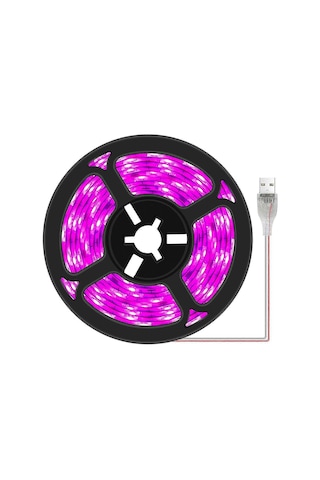 Bitki Işık Şeritleri - İç Mekan Bitkileri, Sukulentler, Hidro Çok Renkli