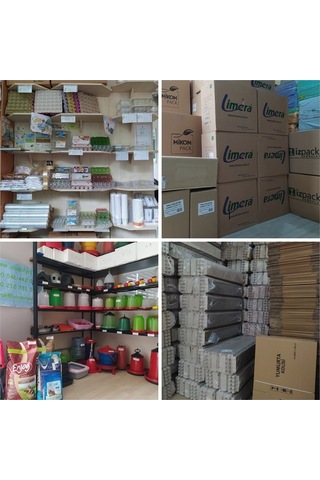 Bıldırcın Yumurtası Viyolü 400 Adet