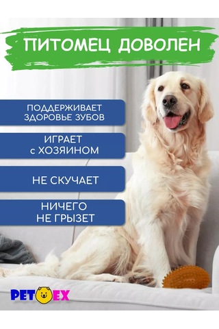 Pet-ex Köpekler İçin Tırtıklı Rugby Topu, 11 Cm 227629759