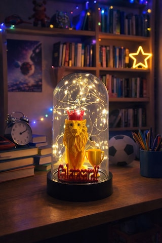 Fanus İçinde Aslan Figürlü Kupa Detaylı Ve Taraftarlar İçin Peri Led Dekoratif Işık Ev Dekorasyonu Sevgili, Yıl Dönümü, Doğum Günü Hediyesi Turkuaz