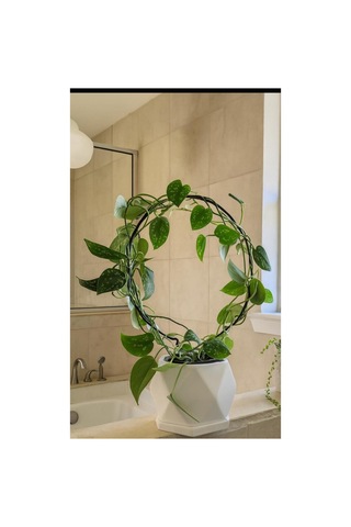 1 Adet Metal Yuvarlak 18x26 Bitki Gövde Destek Sabitleme Dikey Büyüme İçin Pratik & Bitki Tutucu