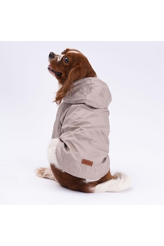 Vizon Mont Köpek Mont Köpek Kıyafeti Köpek Yağmurluğu