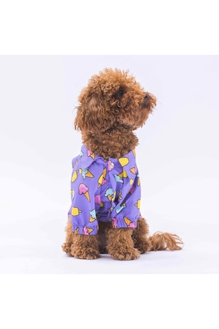 Pawstar Ice Cream Kedi Köpek Gömleği