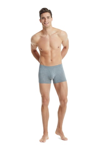 Blackspade 9310 Erkek 2'li Ekonomik Paket %94 Modal Silver Boxer Gri Melanj